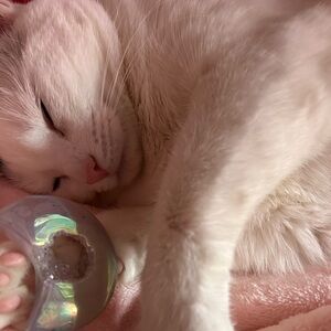 Meet your Posher, Jackie